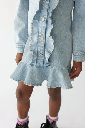 Denim Ruffle Long Sleeve Gem Button Dress