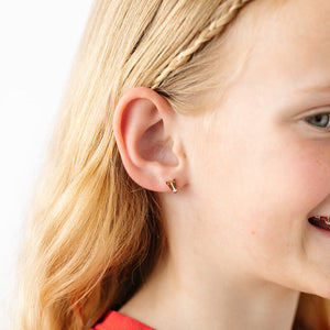 Horse Earrings