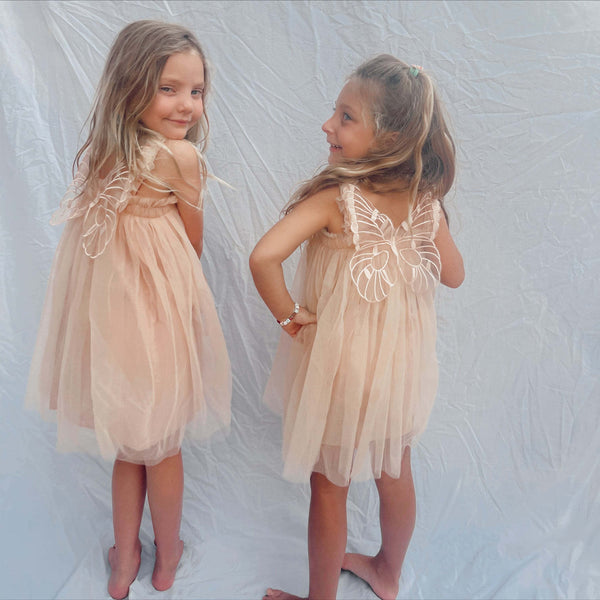 Fairy Dress